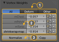 26-Manual-Modeling-Meshes-vertex-weights-panel-overview.png