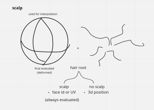 EverythingNodes-Hair-Scalp.png